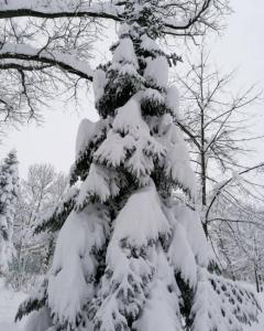 Фотография Центр оценки и недвижимости 3