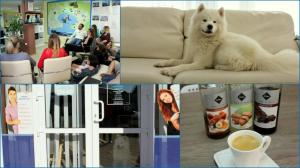 Фотография Союз застройщиков Геленджика 4