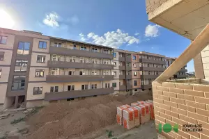 Фотография Южные соседи 2