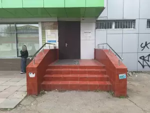 Фотография Дары леса 2